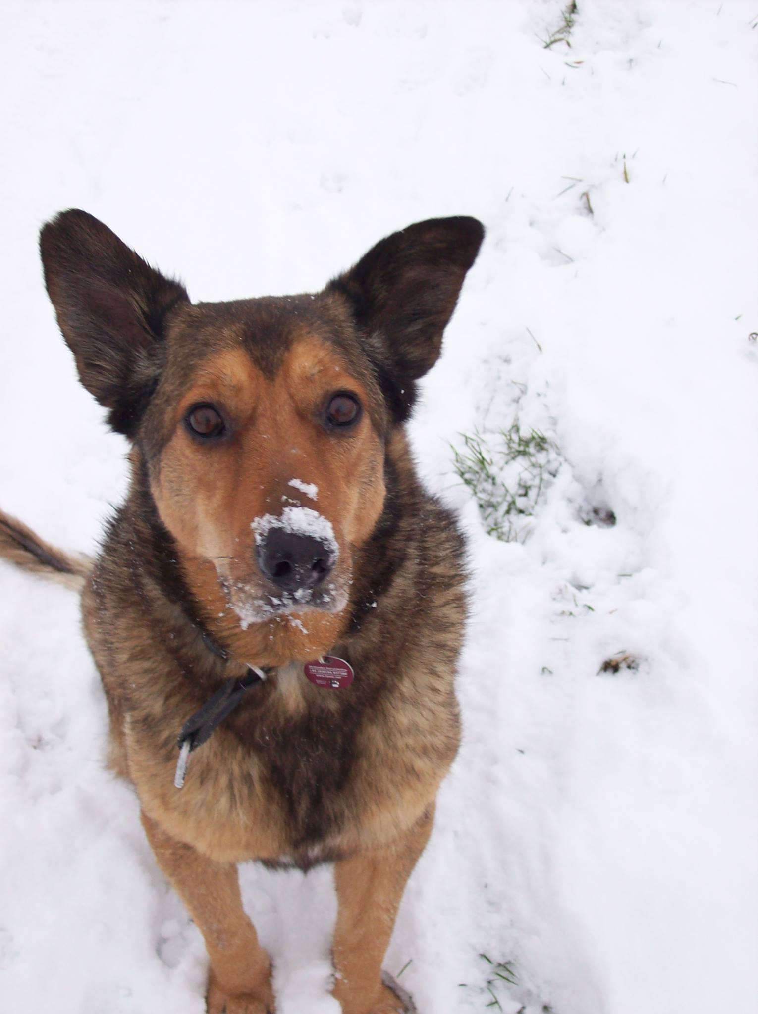 <p>Keine Termine im Januar</p>
